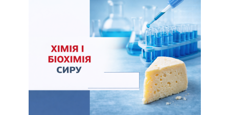Хімія та біохімія сиру: основа ідеального результату в сироварінні