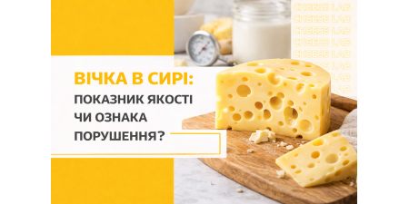 Вічка в сирі: показник якості чи ознака порушення?