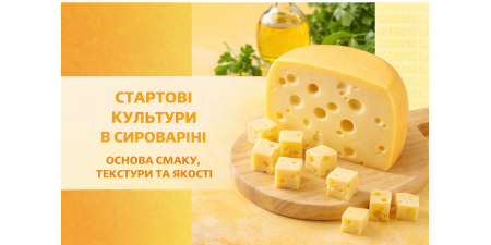 Стартові культури в сироварінні: основа смаку, текстури та якості