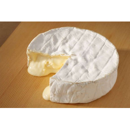 Цвіль Geotrichum candidum