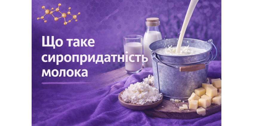 Що таке сиропридатність молока