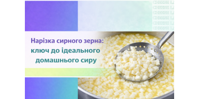 Нарізка сирного зерна: ключ до ідеального домашнього сиру