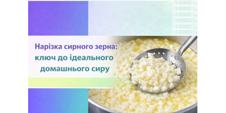 Нарізка сирного зерна: ключ до ідеального домашнього сиру