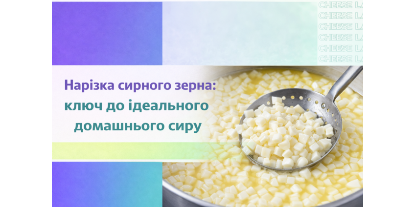 Нарізка сирного зерна: ключ до ідеального домашнього сиру